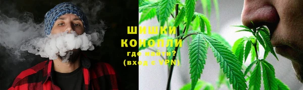 спайс Белокуриха