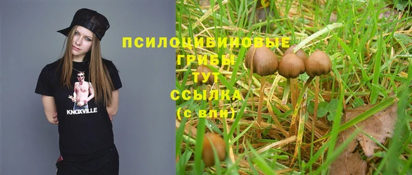 молекула духа Белоозёрский