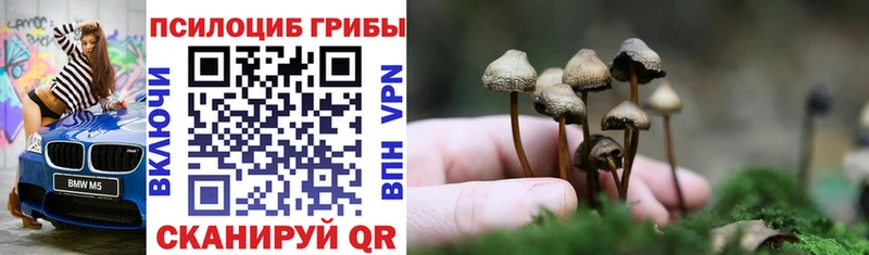shop телеграм  Невель  Галлюциногенные грибы мухоморы 